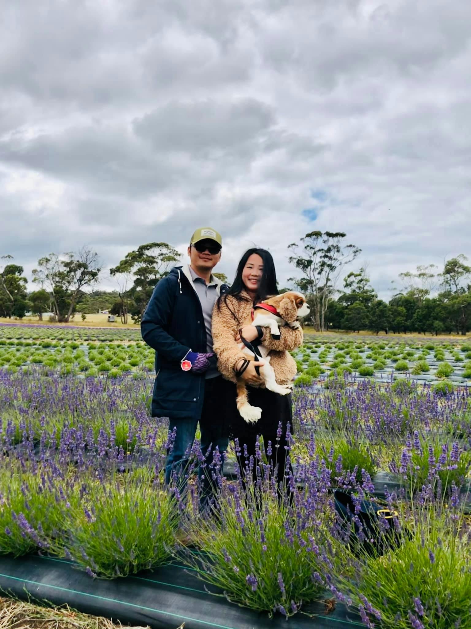 Huon Valley Lavender & Apple Shed Exploration