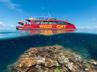 Red Cat Adventures - Outer Reef Snorkel Adventure