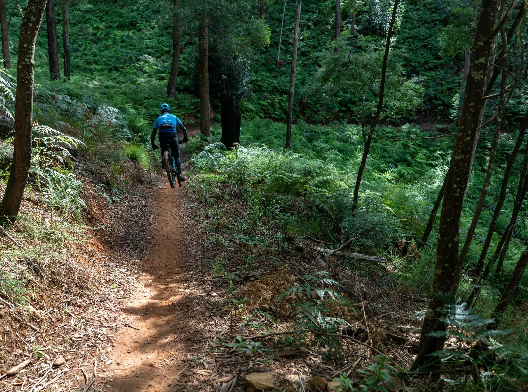 Ride the Indigo Epic with Beechworth eMTB
