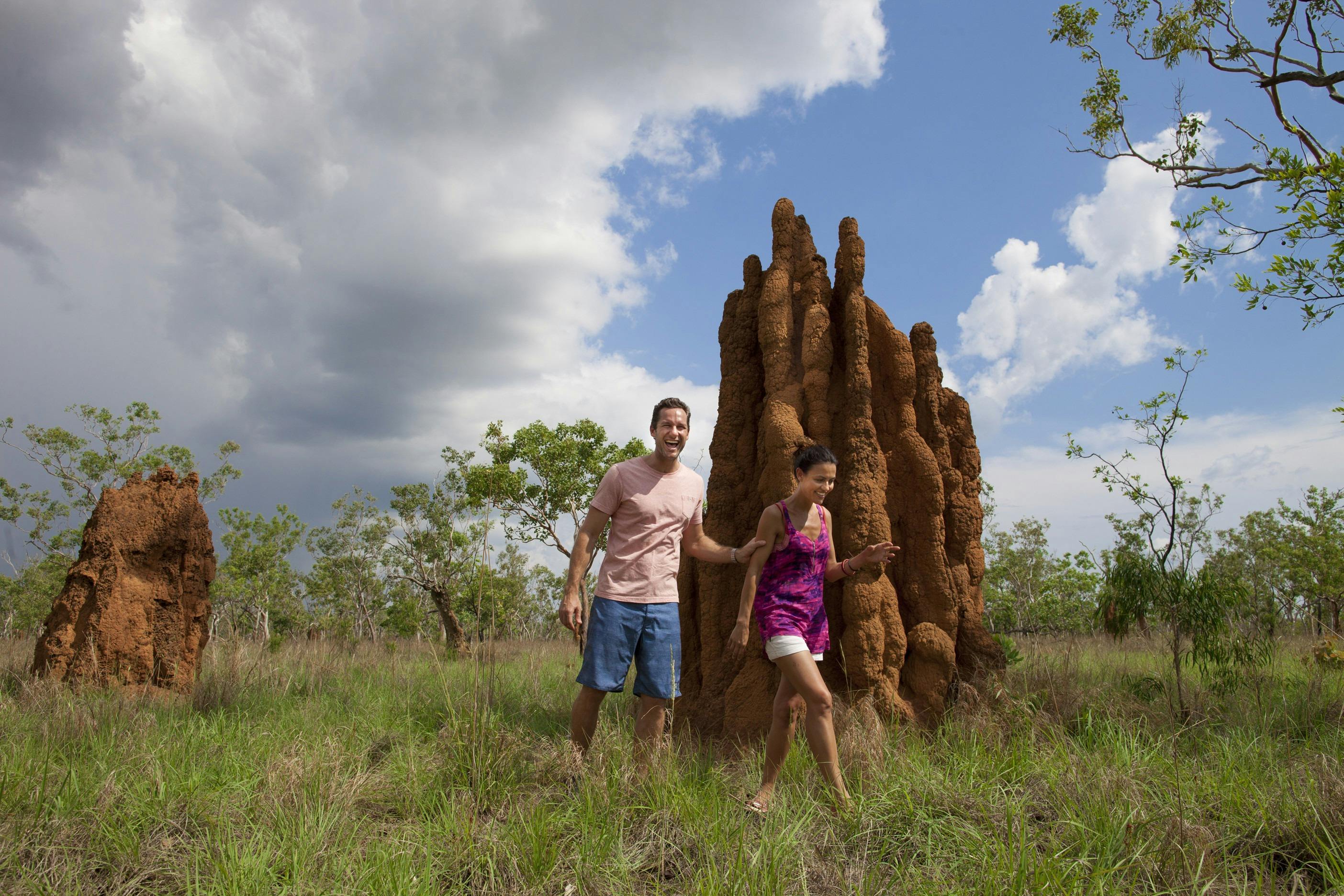 Walk amongst Termite Mounds at Kakadu National Park