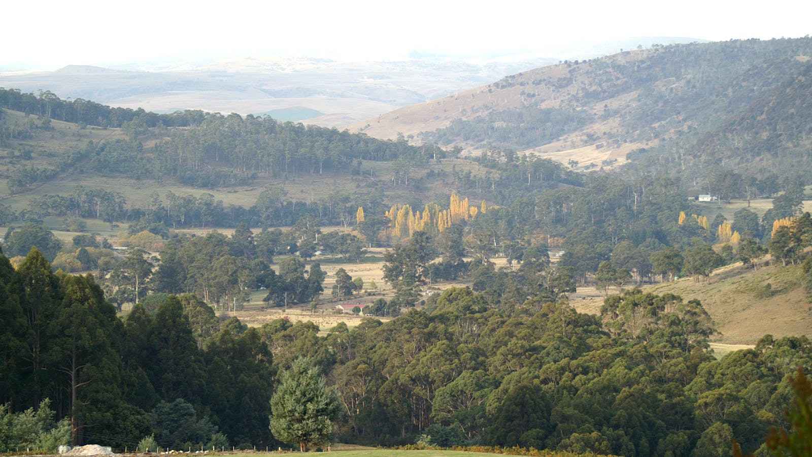 View from Sassafras Springs