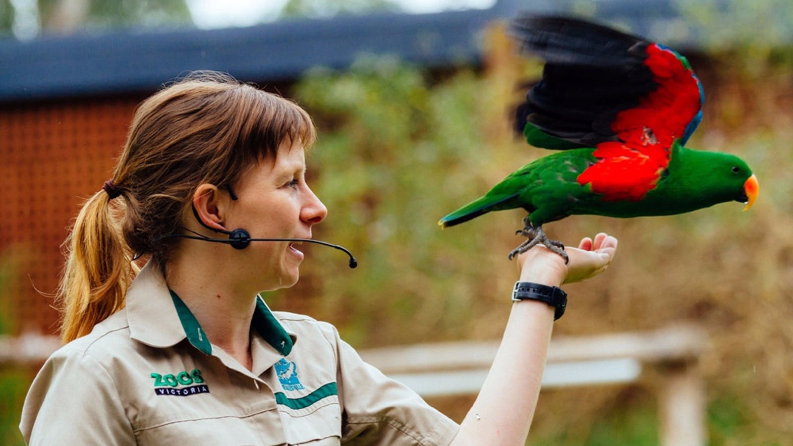 Healesville Sanctuary
