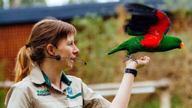 Healesville Sanctuary