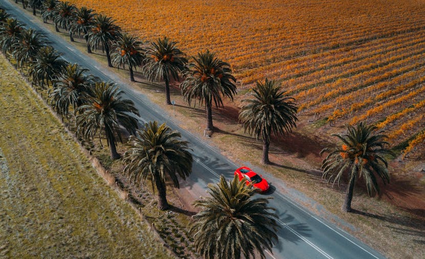 The Prancing Horse Supercar Drive Day Experience Adelaide Hills Barossa Valley