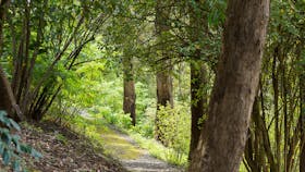 The Woodland Trek at Mount Lofty Botanic Garden features shade and tranquillity.
