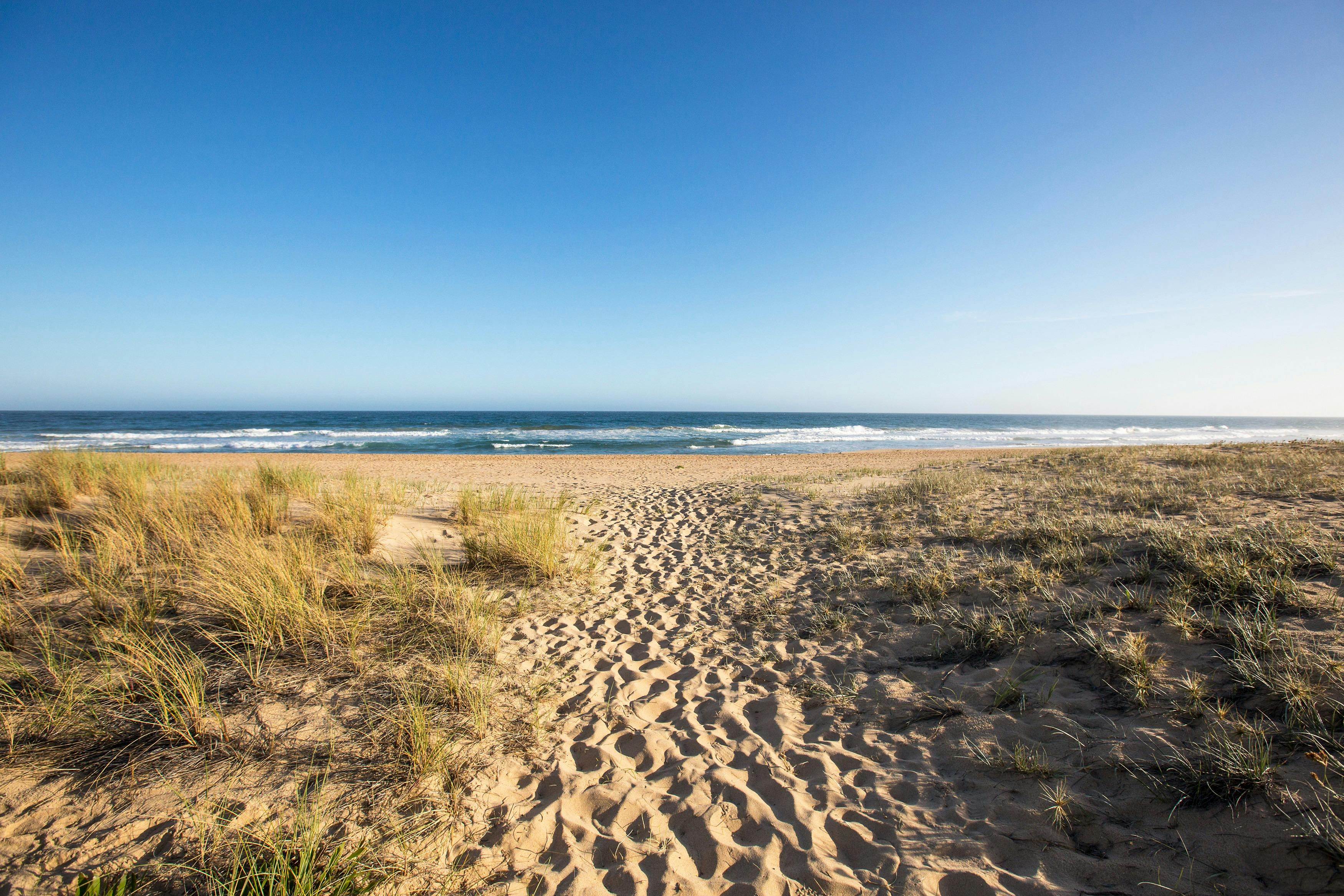 Ninety Mile Beach