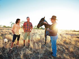 Camooweal image