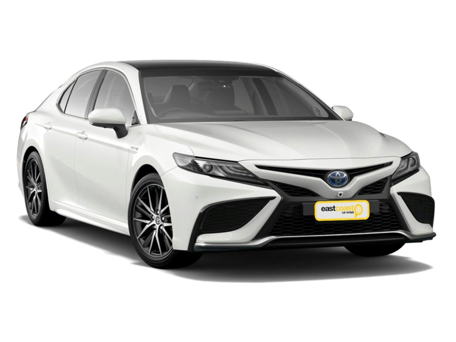 Full Size Car Hire