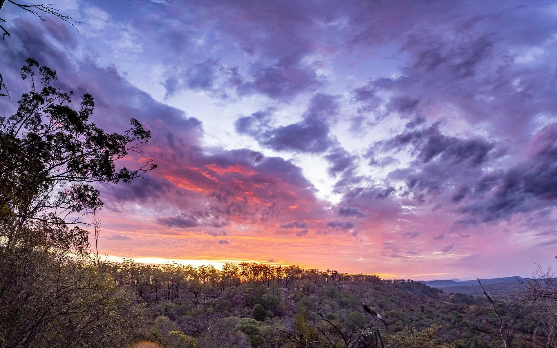 A wide shot of sunset at Carnarvon, with trees in the foreground