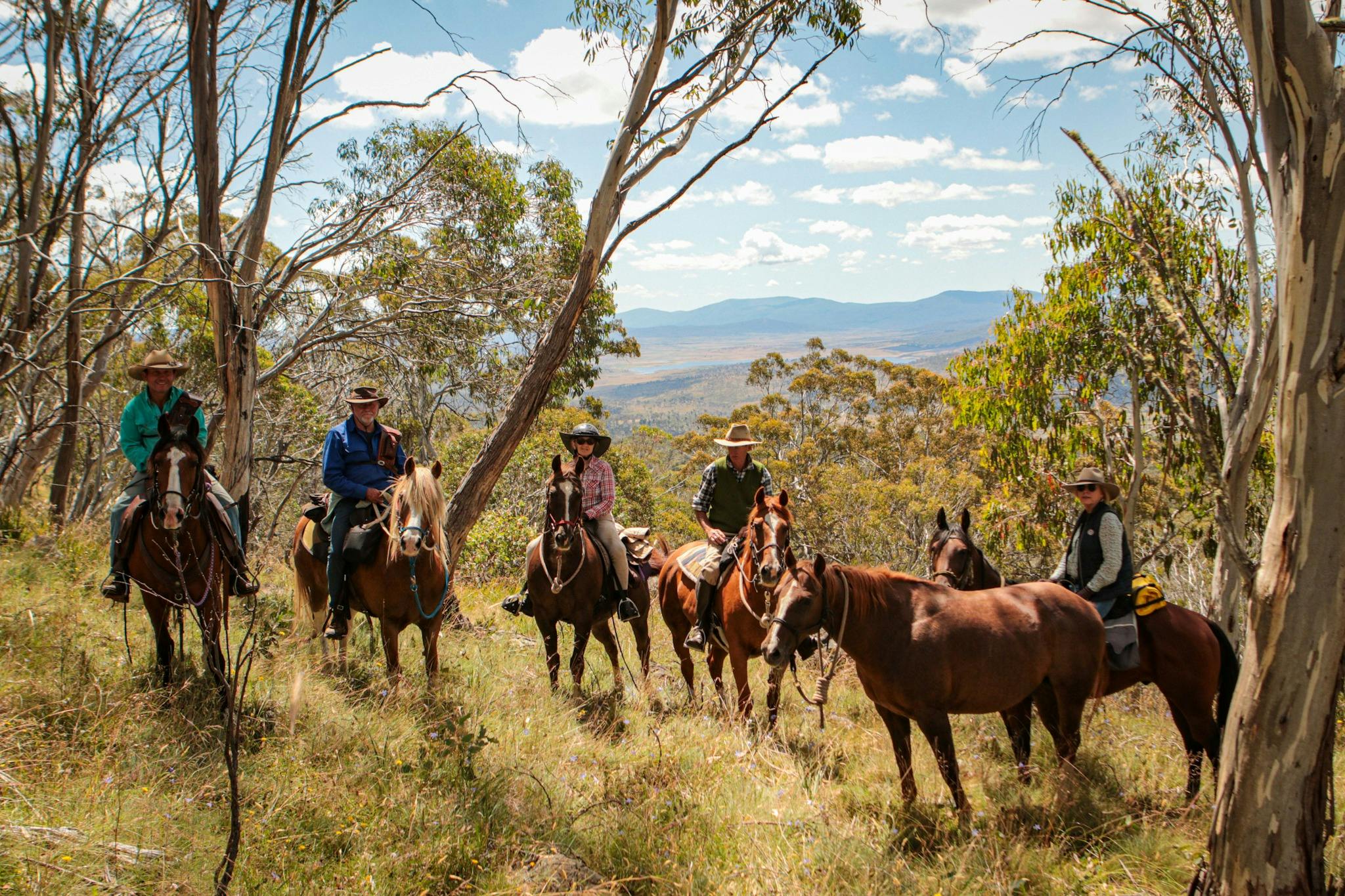 Horse and riders standing on hill overlooking valley