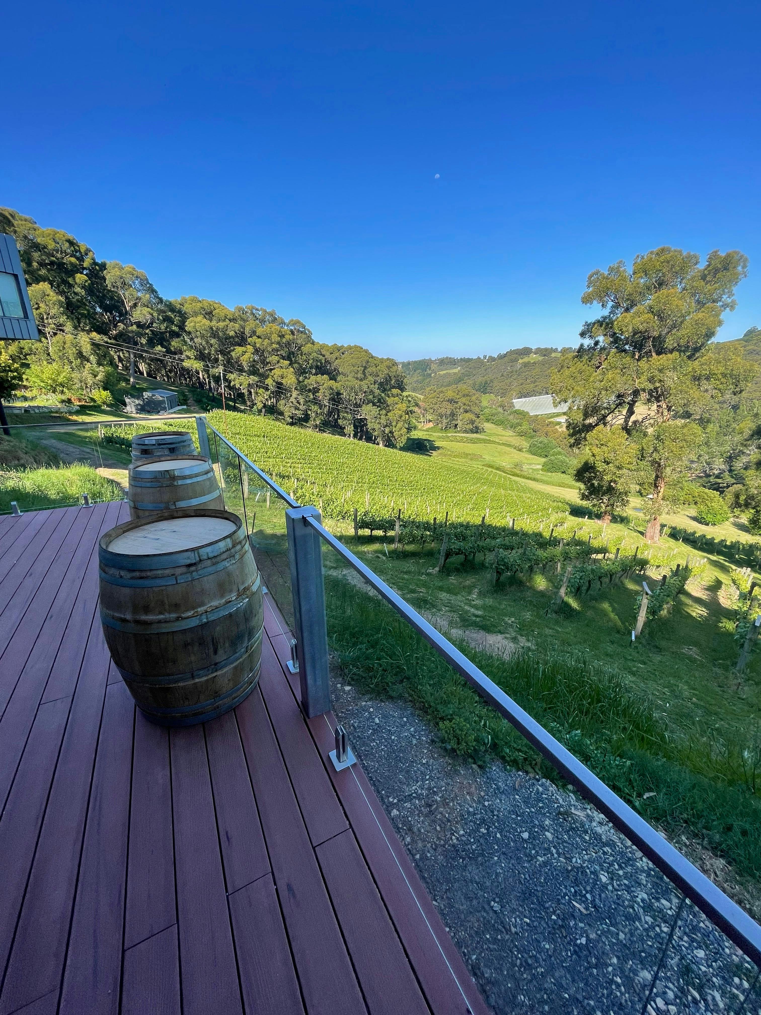 The deck is quite a few meters above the vines and there is a window bar which i weatherproof