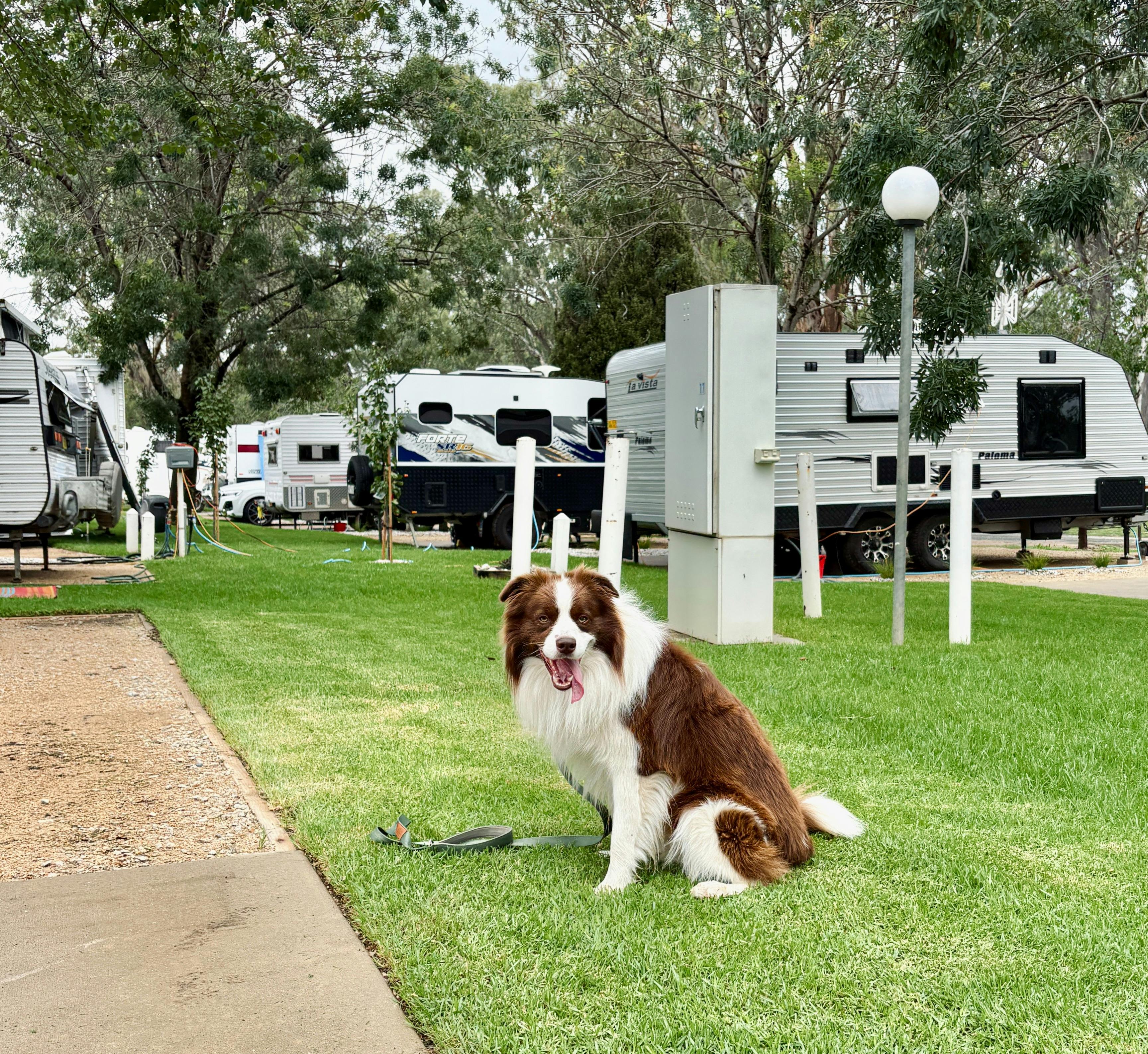 Caravan and Motorhome Powered Site