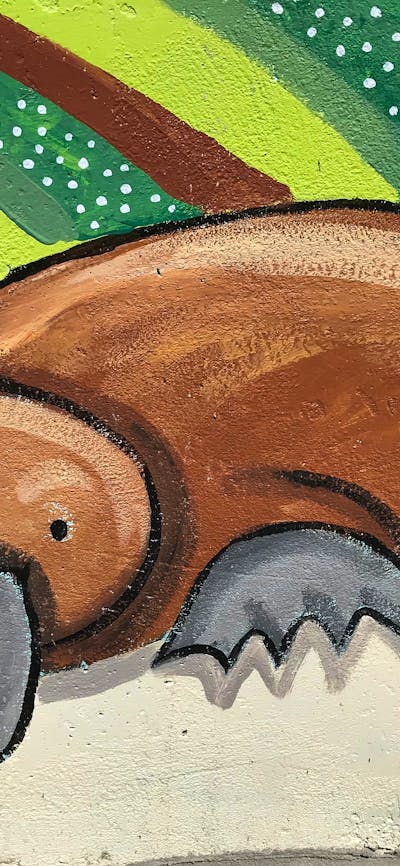 Platypus mural at Kiamma Creek