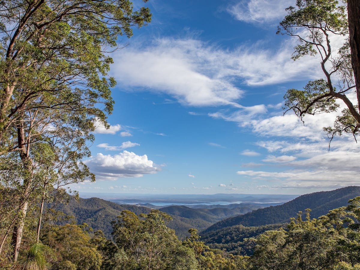A mountain range framed by trees.