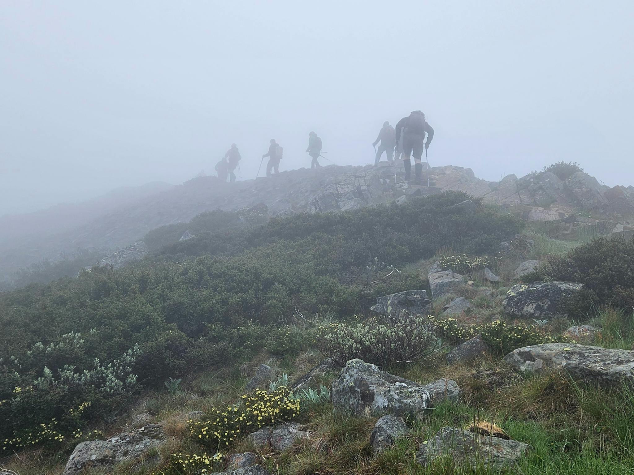 Misty days bring on different vibes. The High Country is incredibly beautiful when covered in mist.