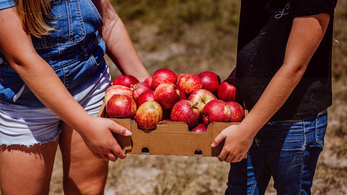 Fruit to take home