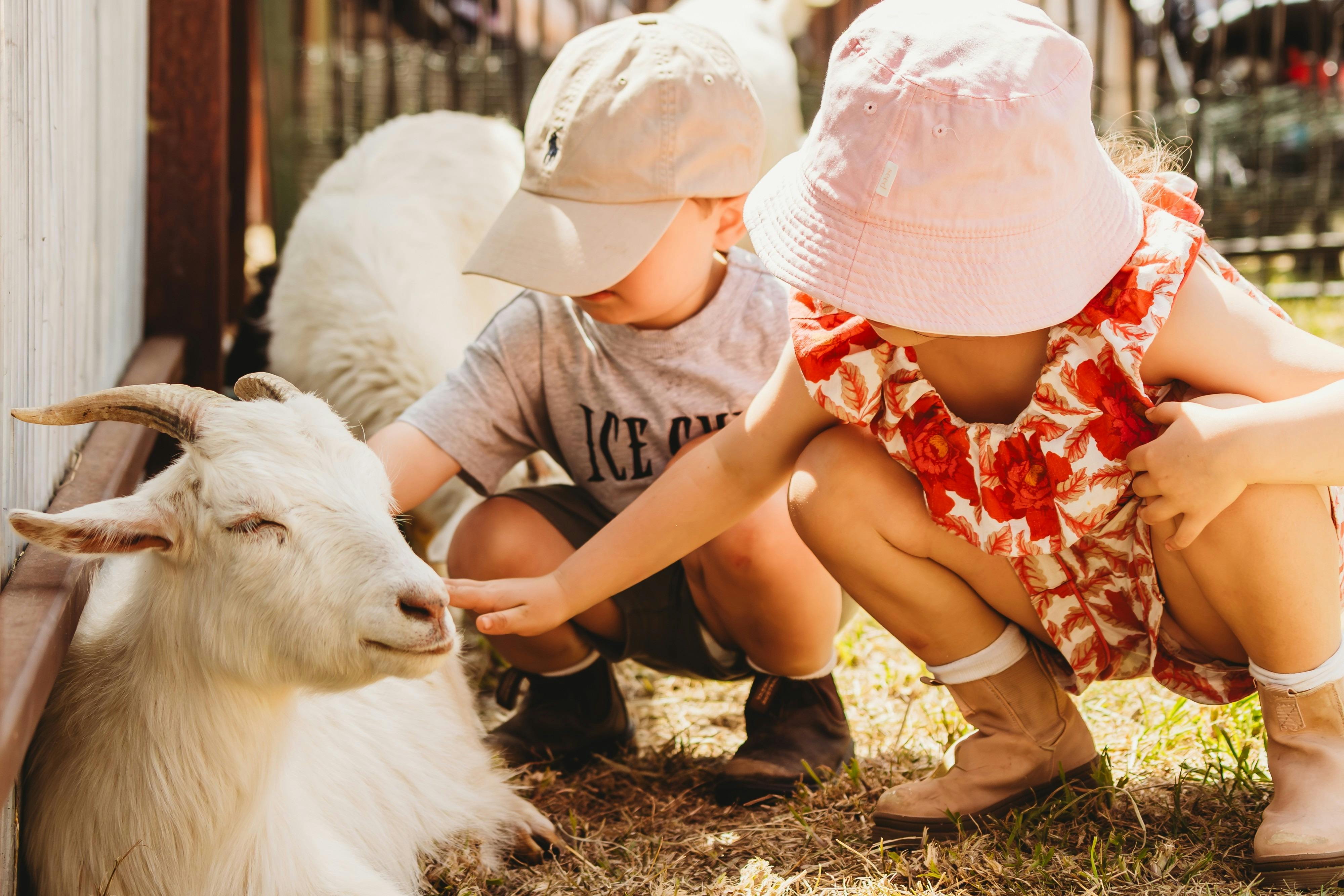 Two children petting a goat peacefully.
