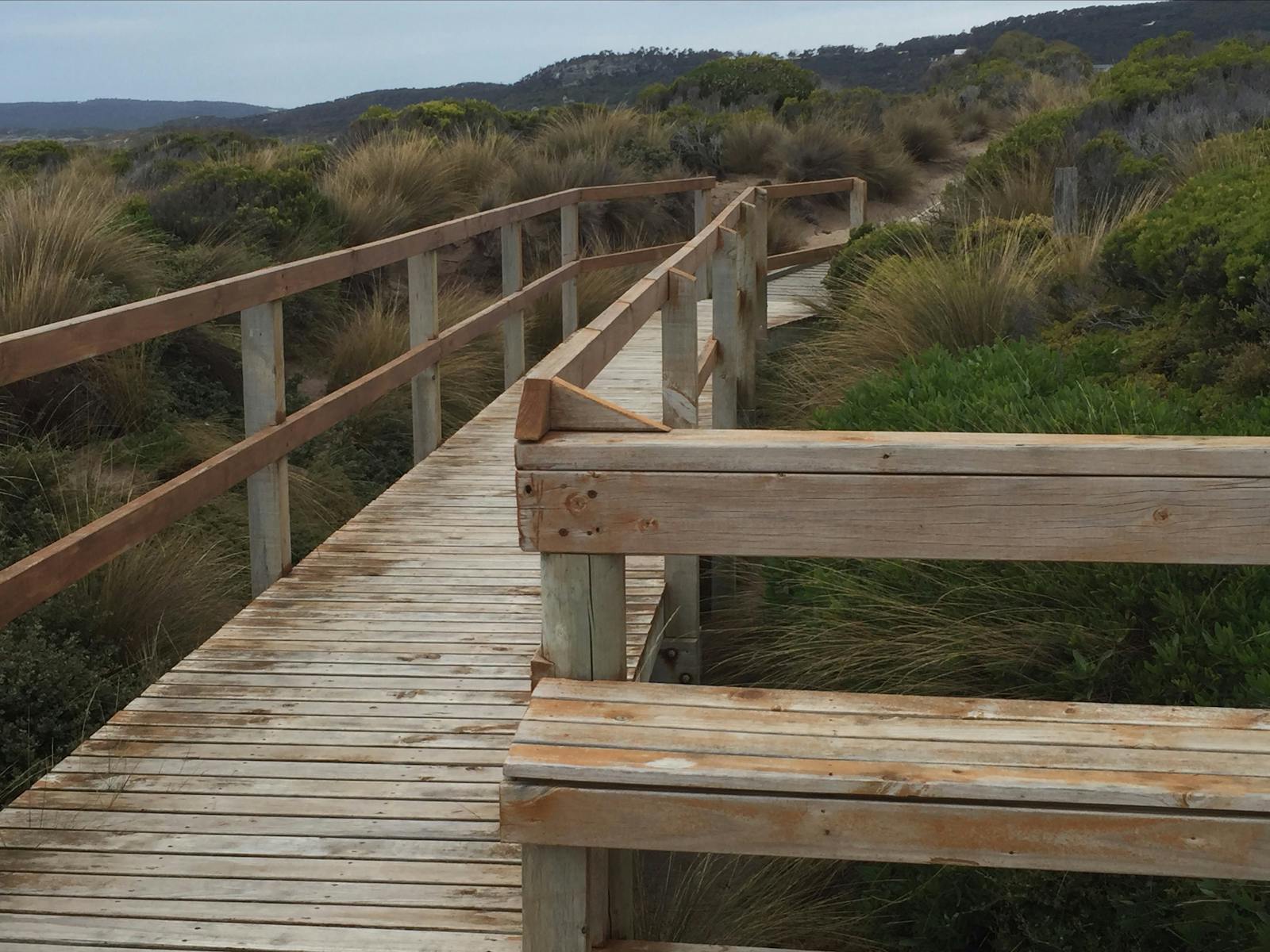 Shearwater Rookery Viewing Platform  Flinders Island Tasmania