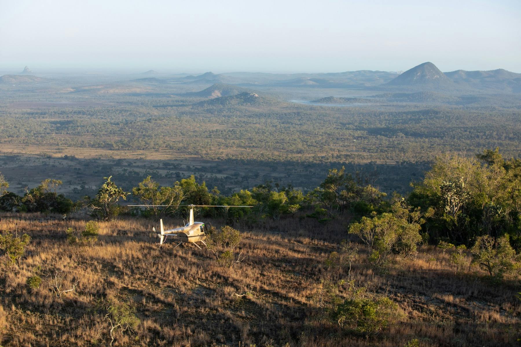 Landscape