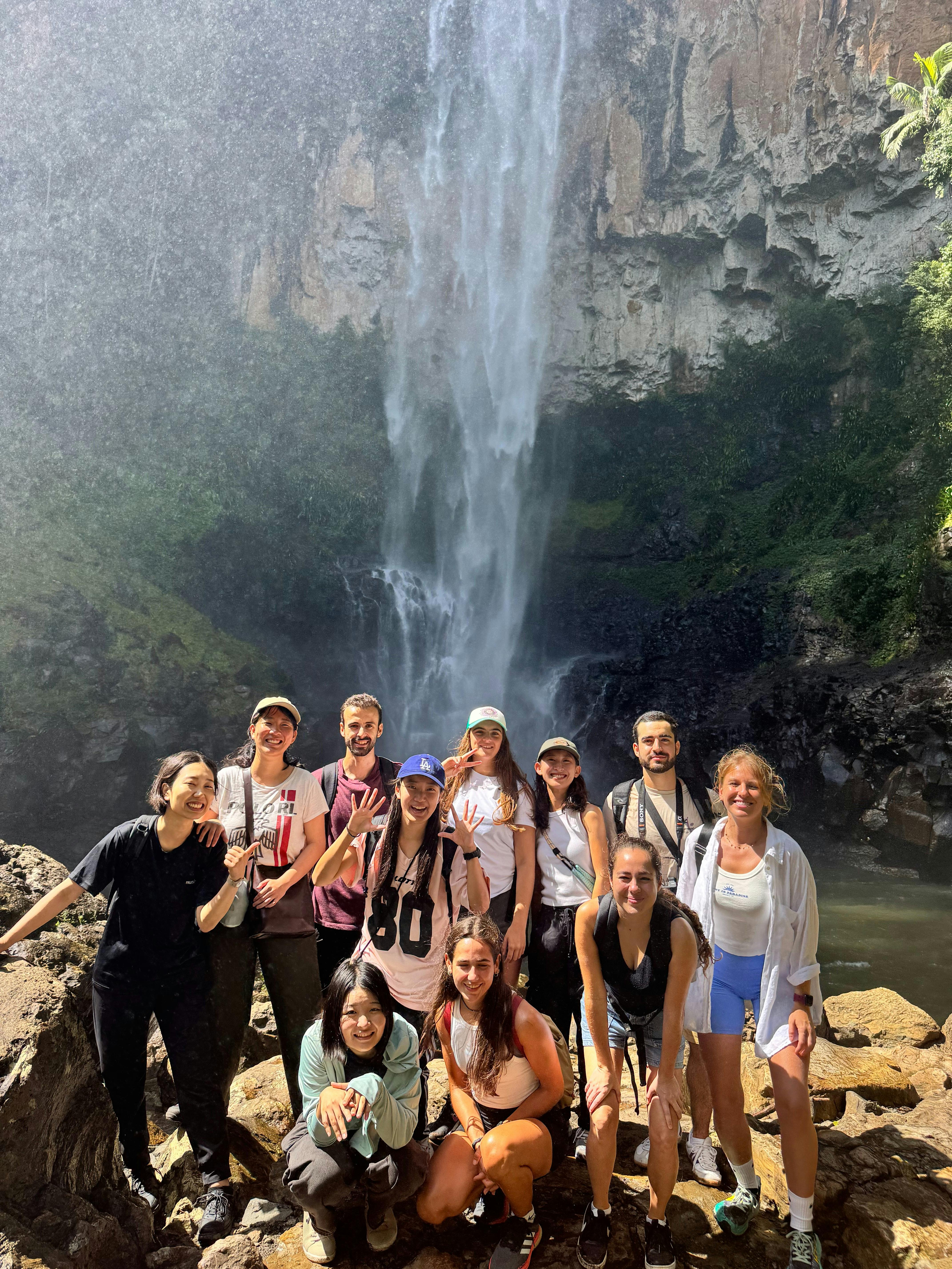 Paradise Tours group at Springbrook National Park