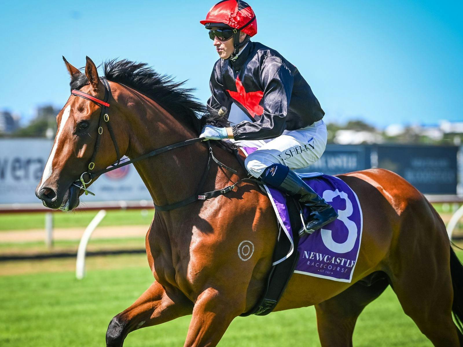 Racing at Newcastle Racecourse