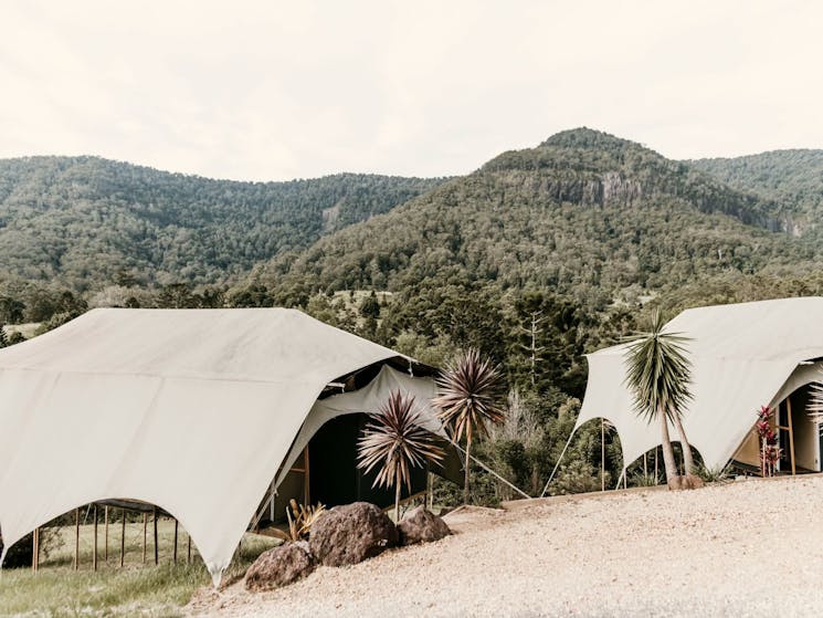 An amazing glamping experience, set amongst the stunning landscape of natural beauty