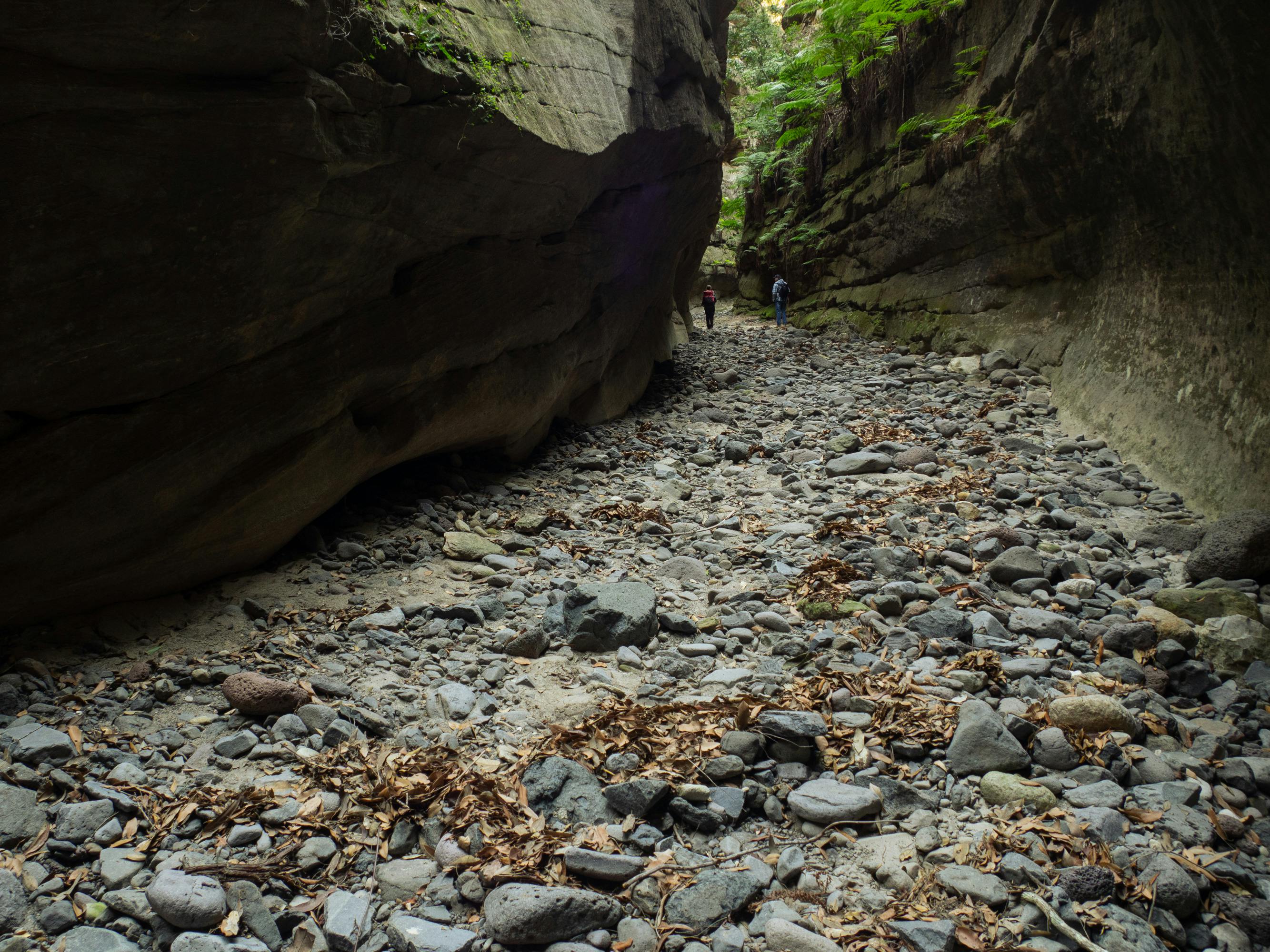 A sweeping bend in a dry creek bed of a narrow side gorge at Carnarvon Gorge.