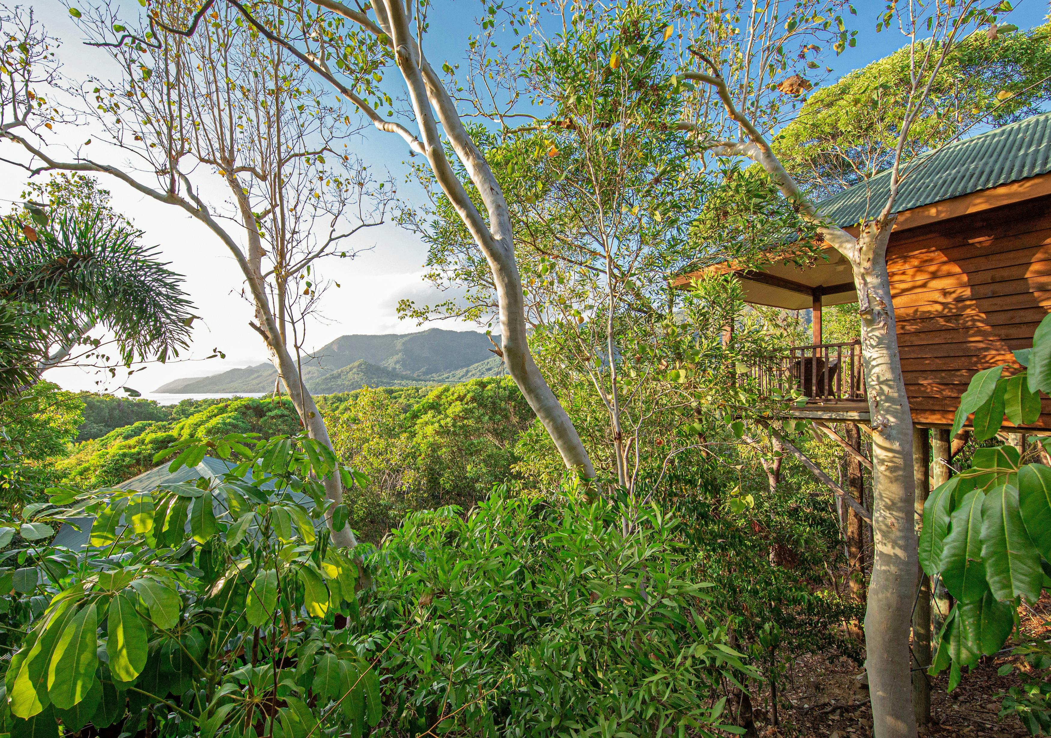 View of coastline and Coral Sea Bungalow
