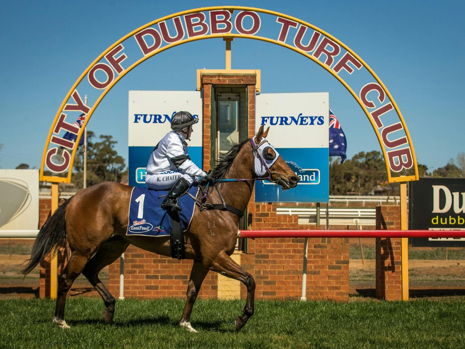 Image for Dubbo City Toyota Gold Cup