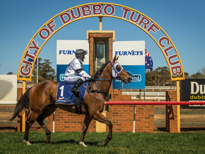 Image of the event 'Dubbo City Toyota Gold Cup'