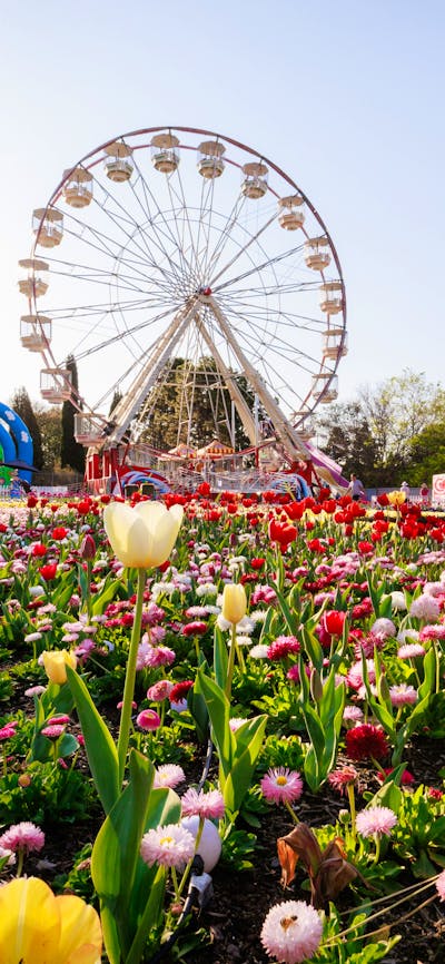 Floriade