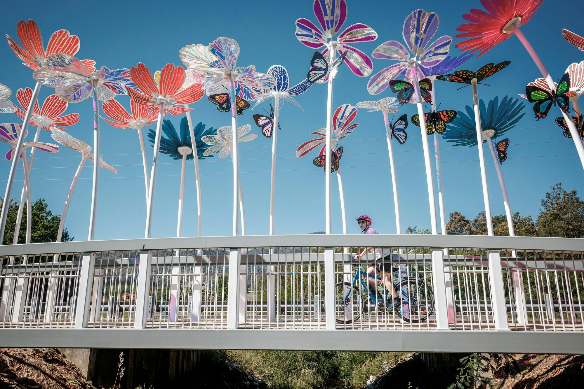 A person riding a bike along a white bridge with large colourful flower sculptures along it
