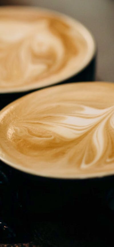 Tootsie Gallery Cafe Coffee