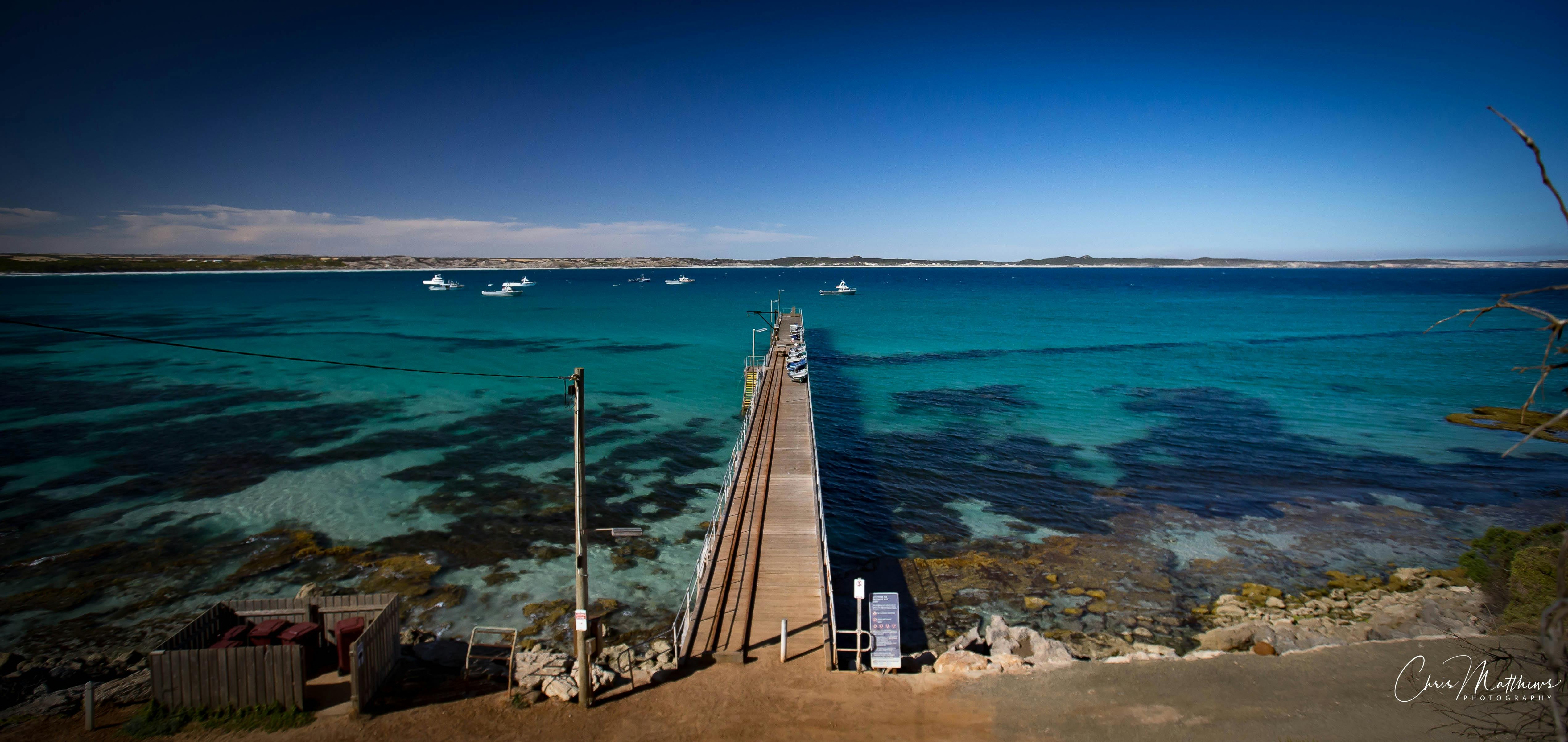 Kangaroo Island  Roads to Recovery  Photo Safari