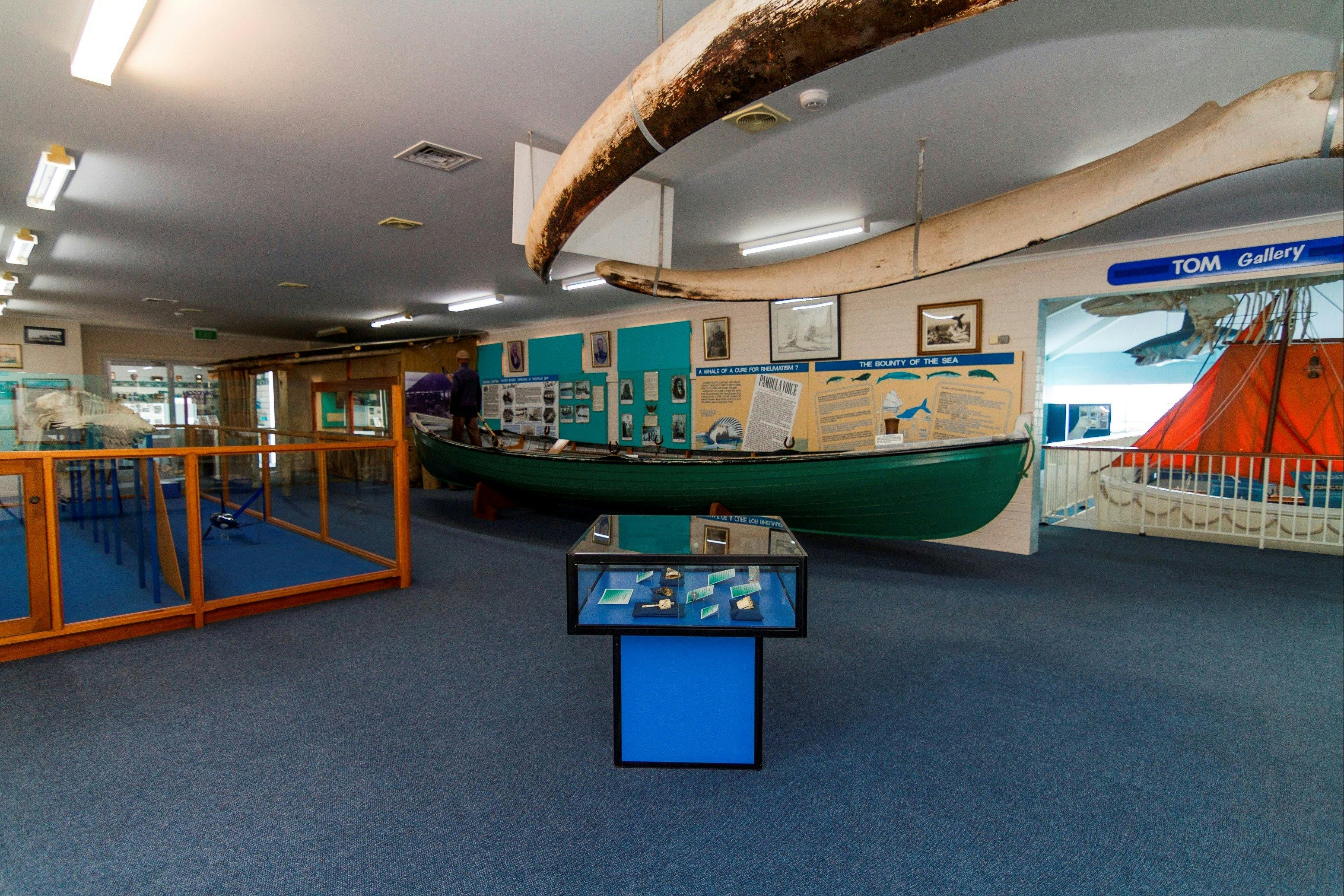 伊甸虎鯨博物館