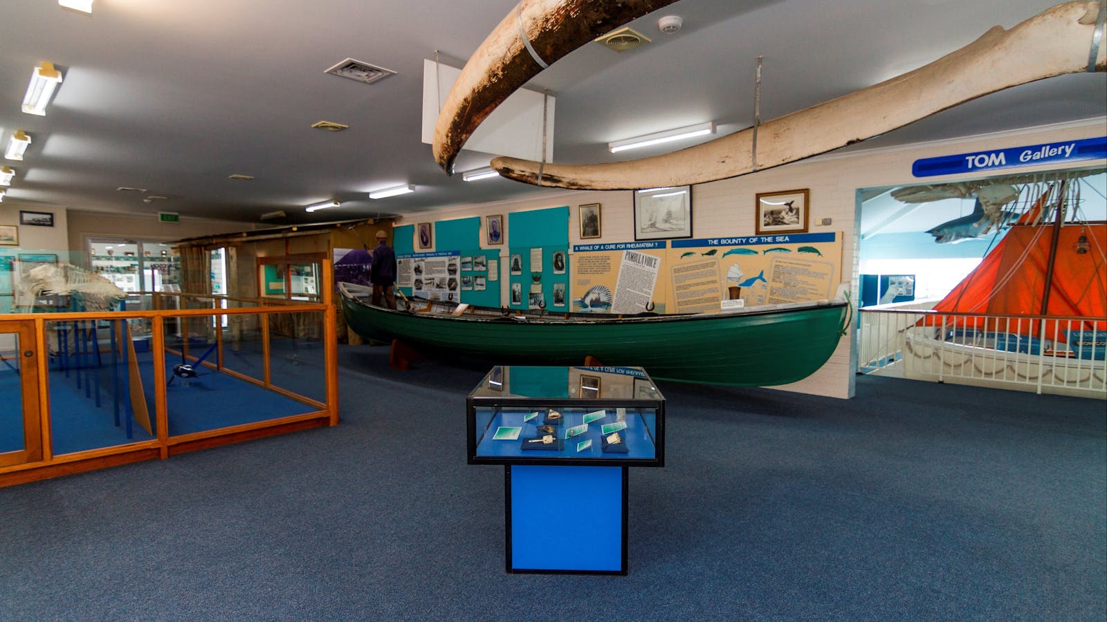 Eden Killer Whale Museum