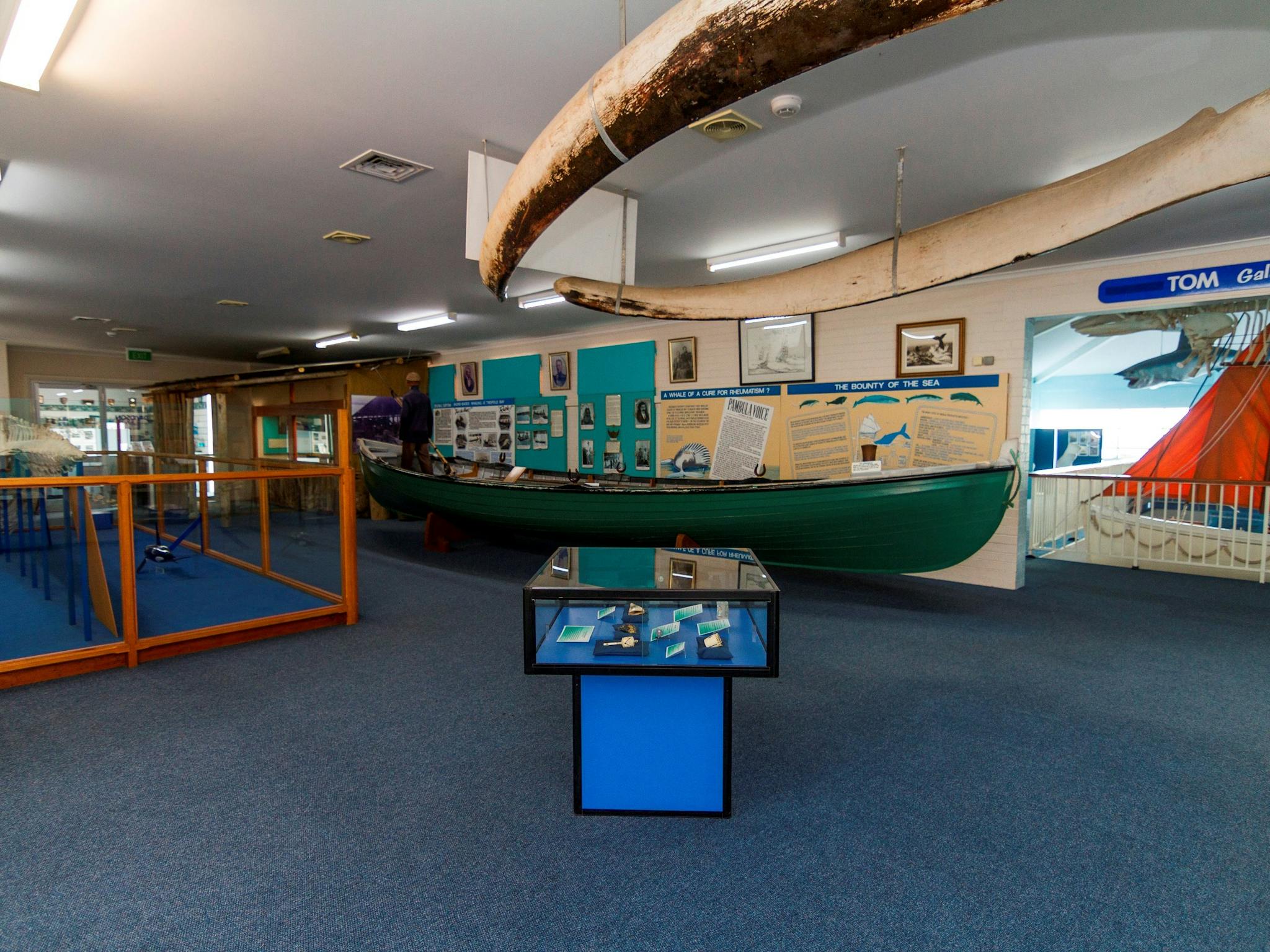 Eden Killer Whale Museum