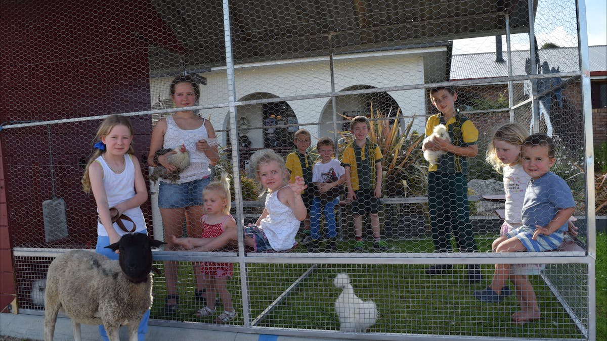 KS Kids ChookPen