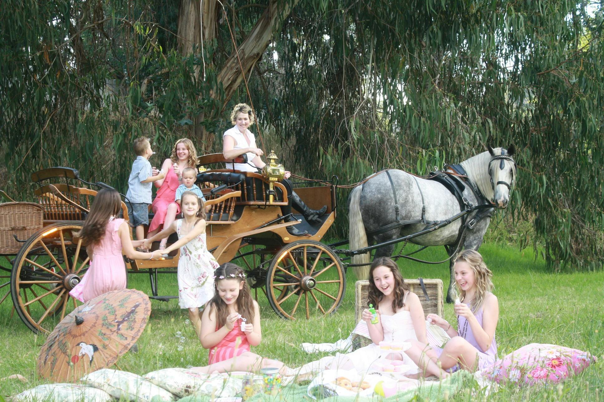 Carriage Ride and Vintage Picnic