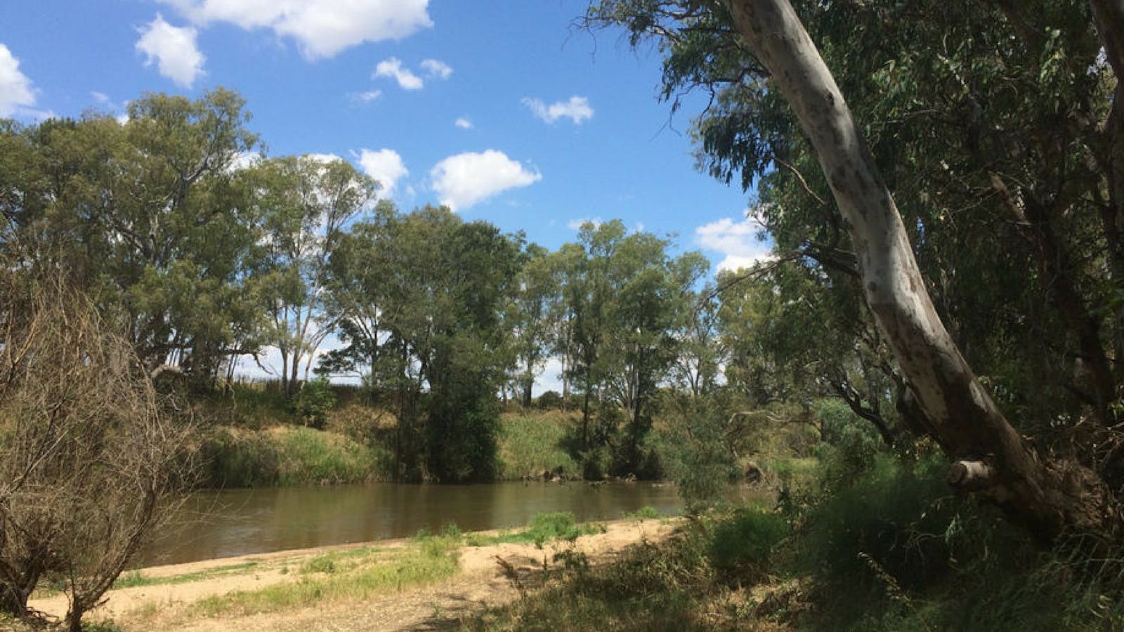 Farleigh 'Beach' Reserve