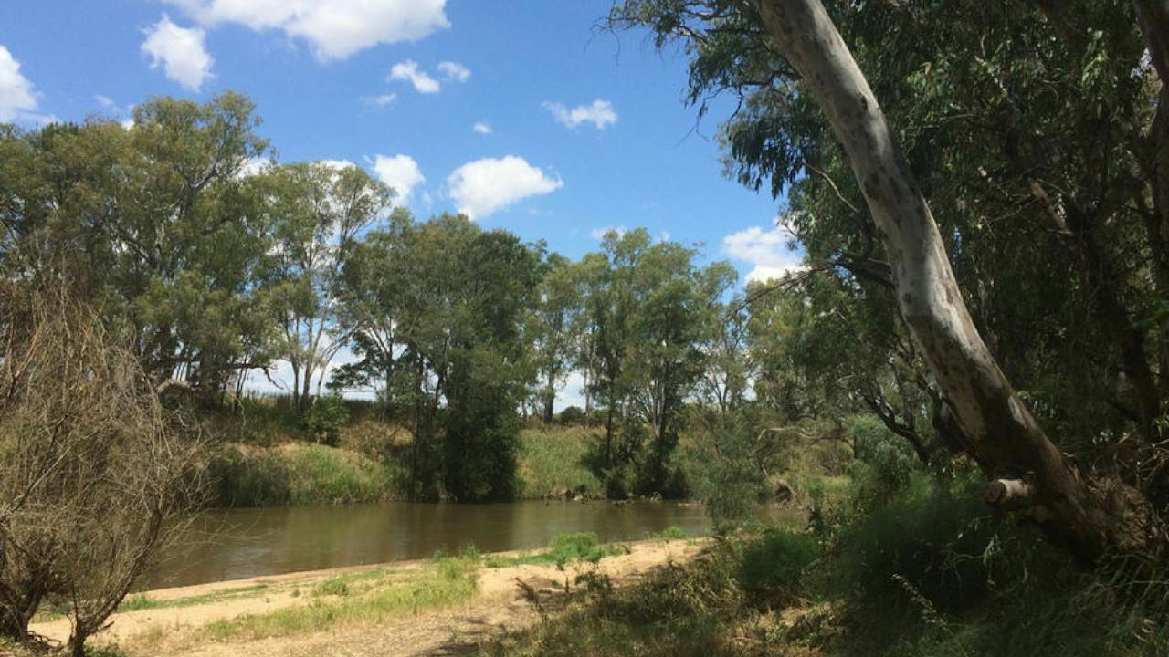Farleigh Beach Reserve