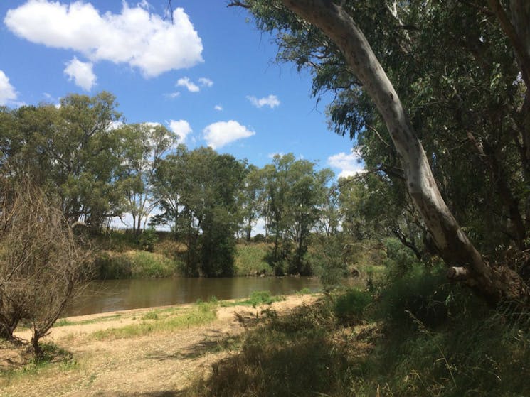 Farleigh beach reserve