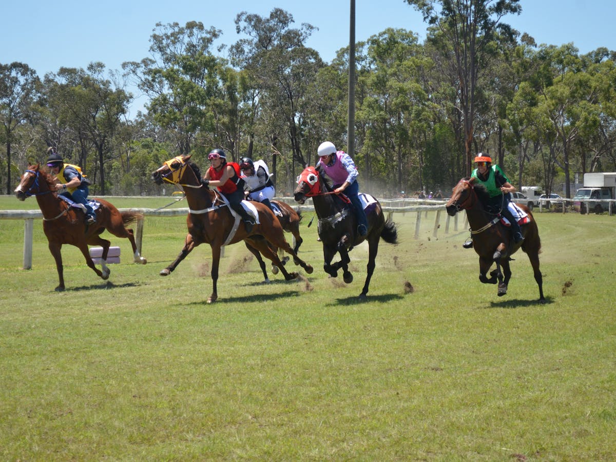 Torbanlea Destination Information Queensland