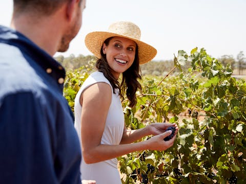 Small Group Luxury Pokolbin Tour with 3 Tastings & Fine Dining Included