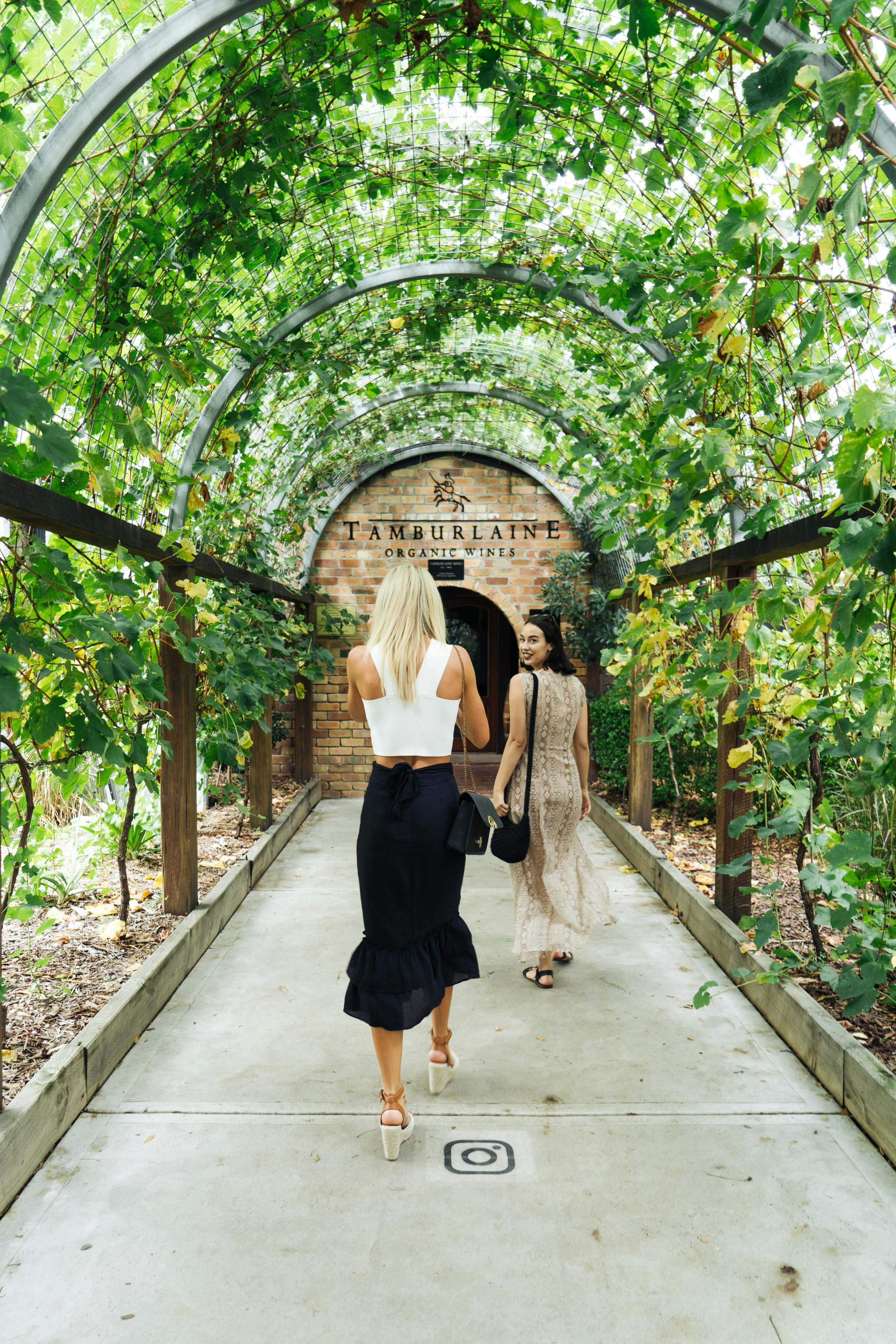 Teds Tours Public Tour NSW Holidays & Things to Do