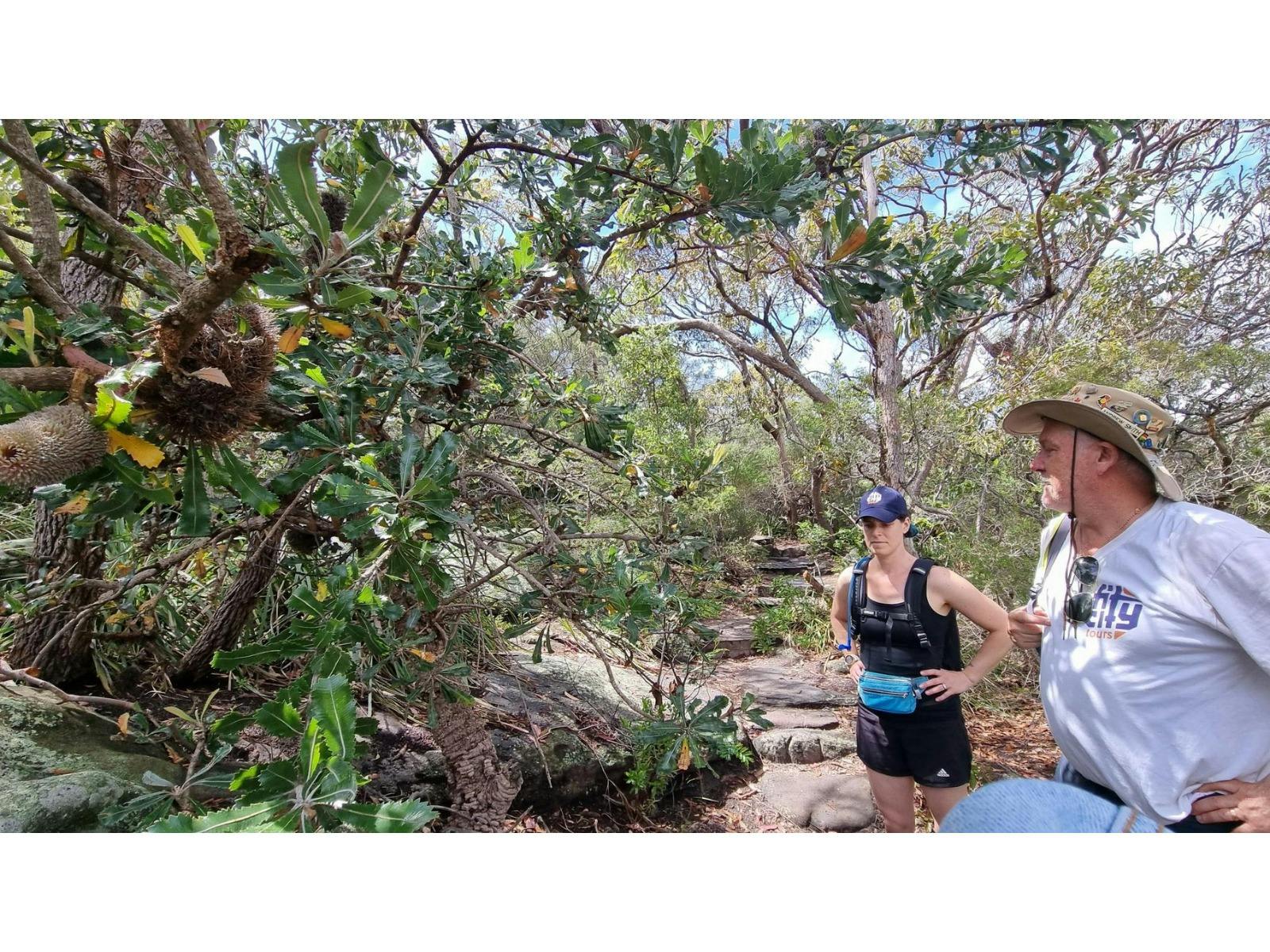 With your very own Sydney city tour guide leading the pack, this hiking tour will explore iconic coa