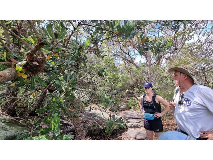 With your very own Sydney city tour guide leading the pack, this hiking tour will explore iconic coa