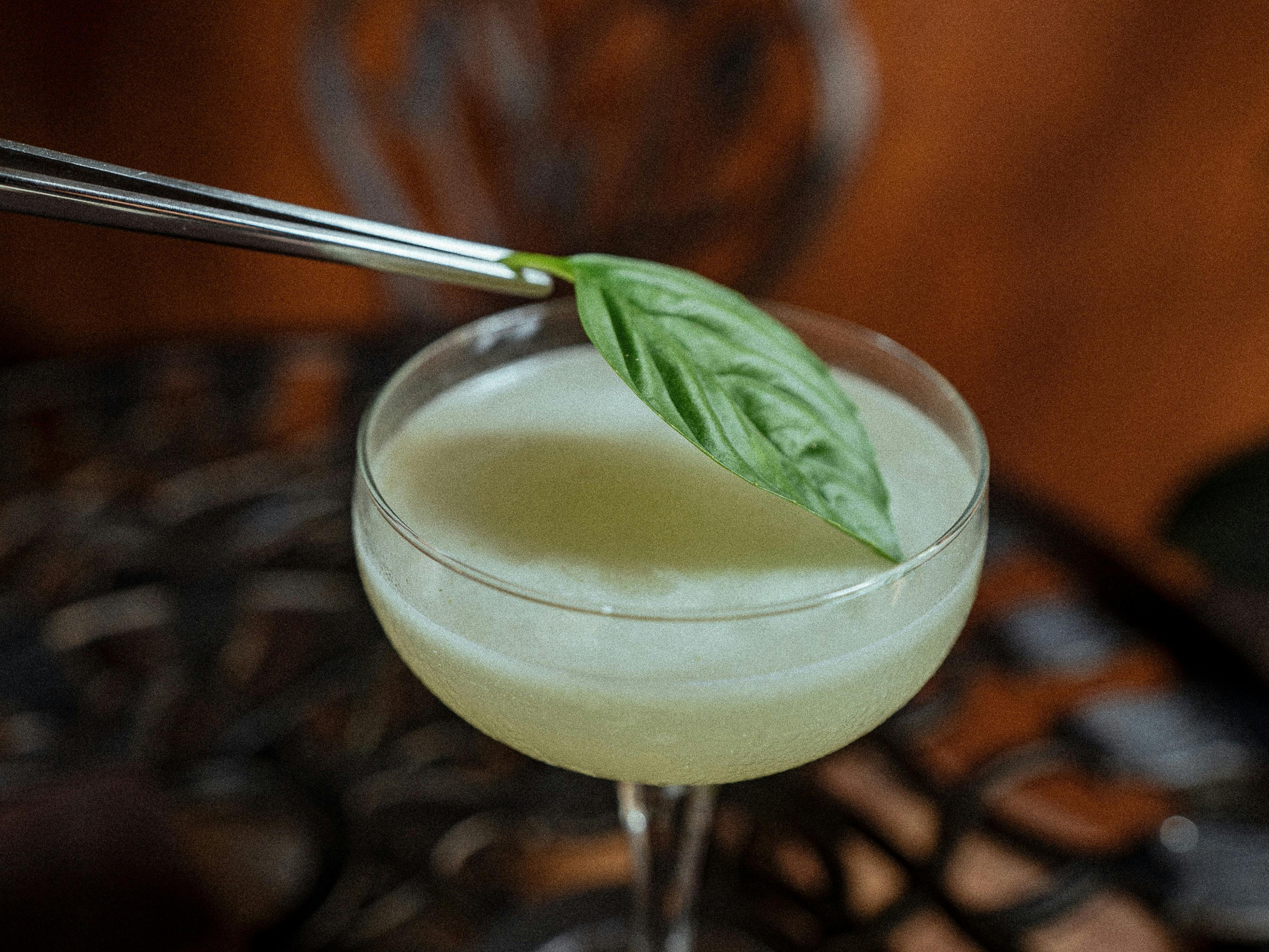 A photo of a basil leaf being placed on top of a cocktail.
