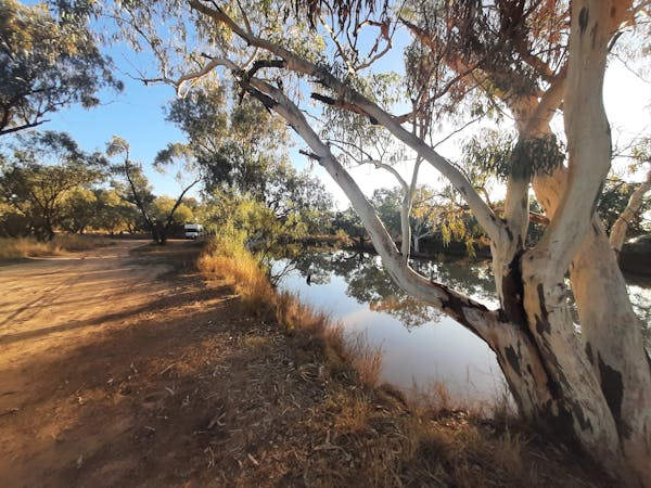 Paroo River Camping Area