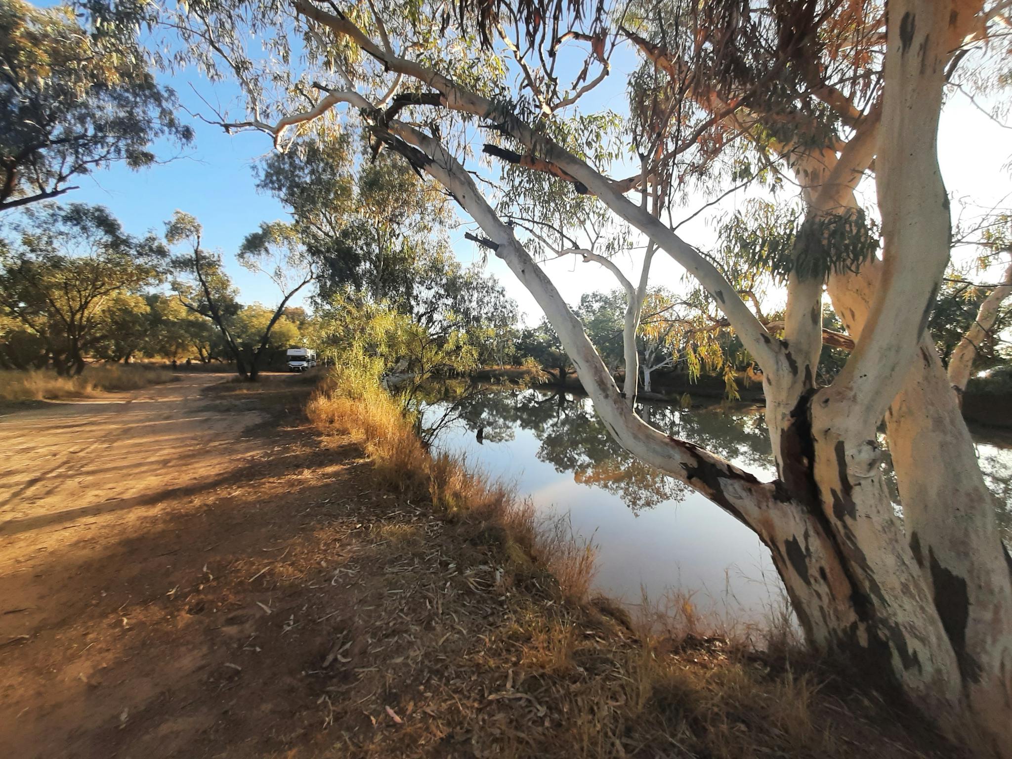 Paroo River Camping Area Paroo River Camping Area